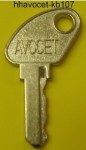 Avocet Lightening Window Handle Key - EE1
